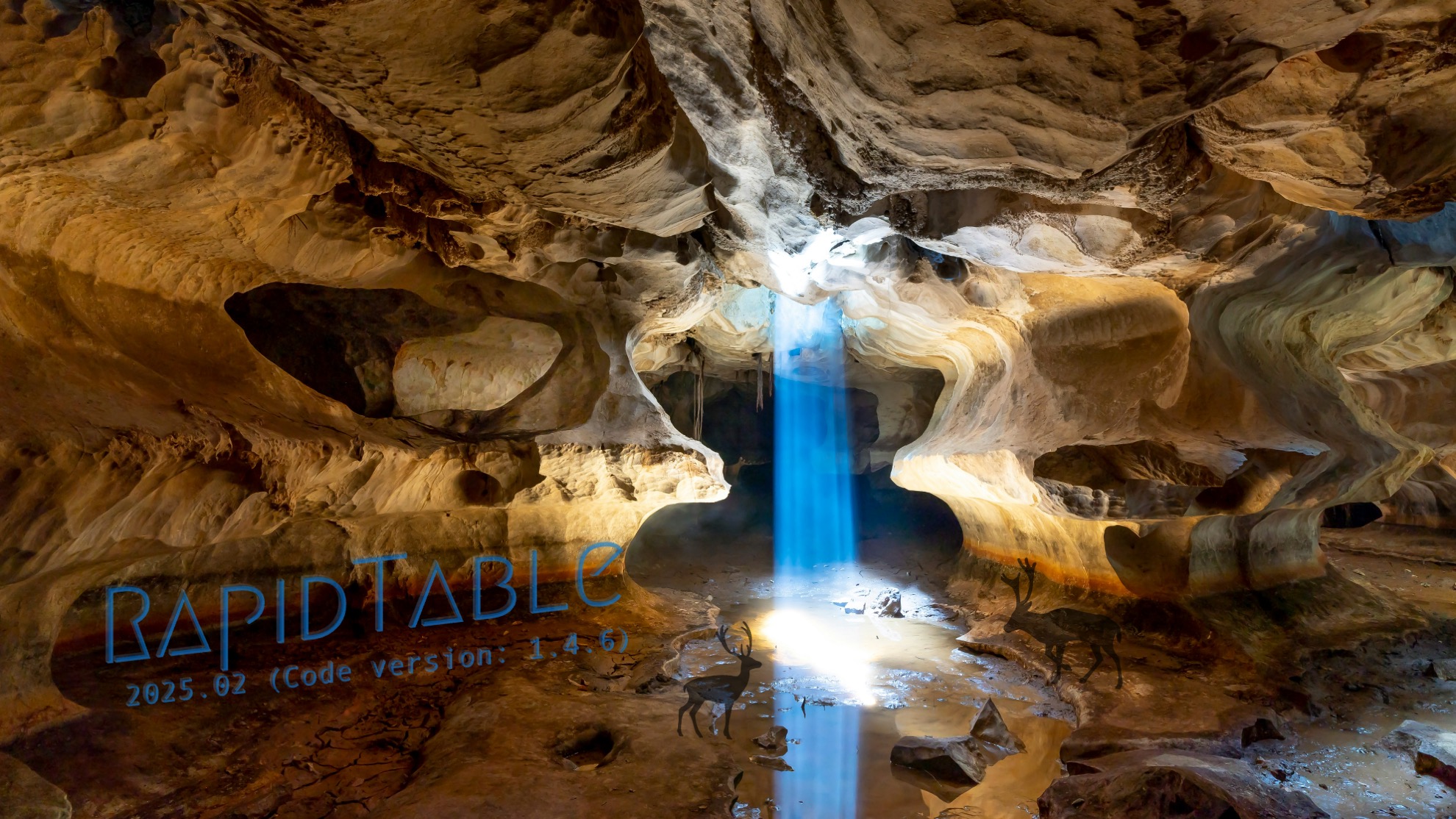 RapidTable 2025.02 をリリース